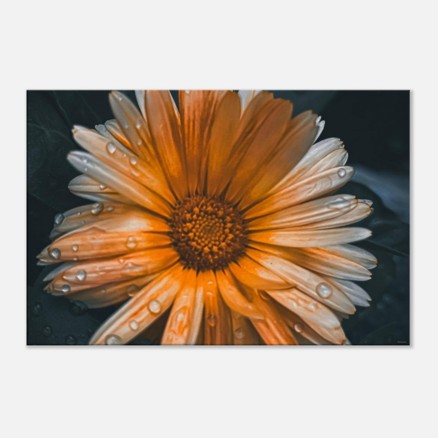 27b1086e-ebbc-4c57-acef-2e52dca90677