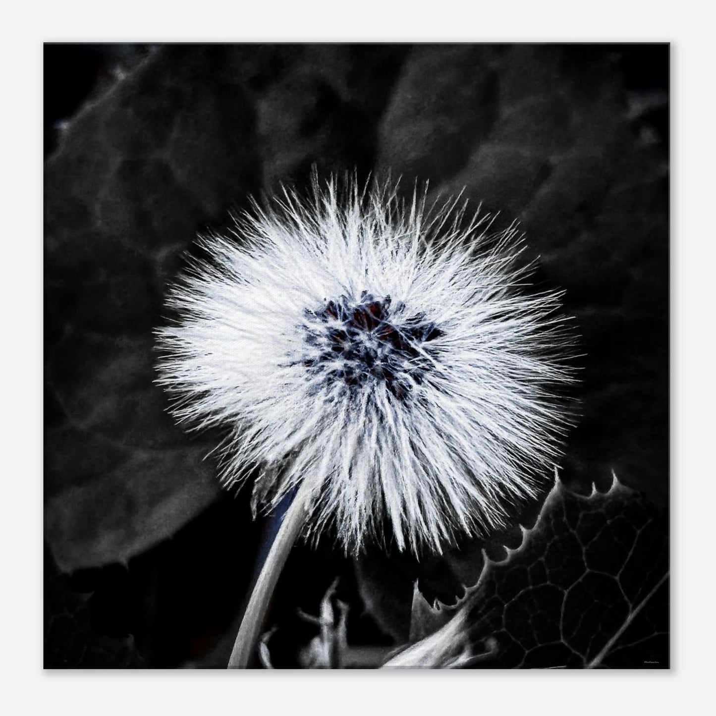 27c3727e-5309-467c-9476-dcc521ed86c7