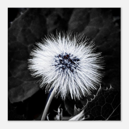 27c3727e-5309-467c-9476-dcc521ed86c7