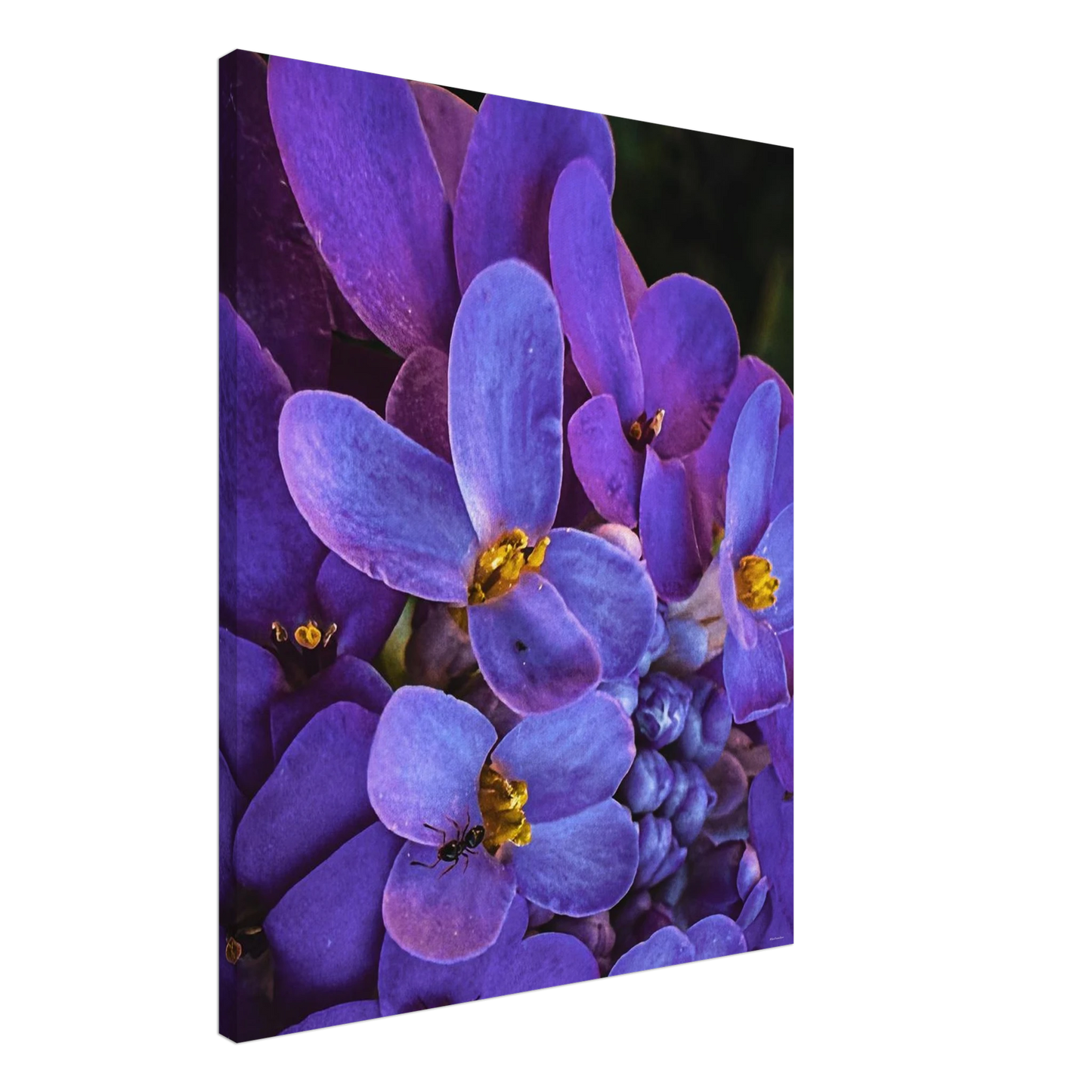 27cc3cf4-9e67-44a1-8a48-9abc8847a6ae