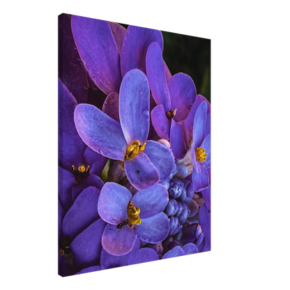 27cc3cf4-9e67-44a1-8a48-9abc8847a6ae