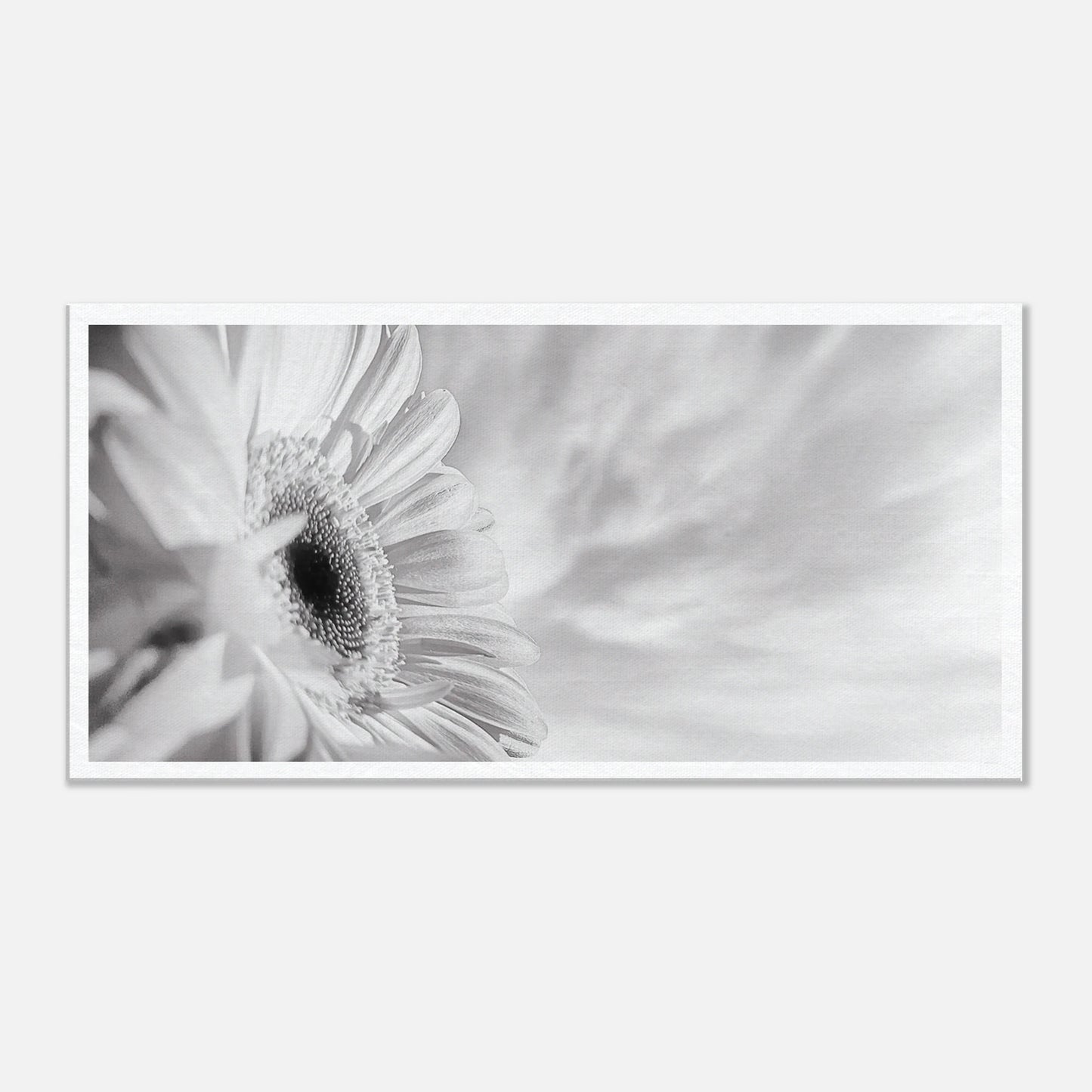 27e53e87-4ff7-44ba-88a7-3f03757a5628