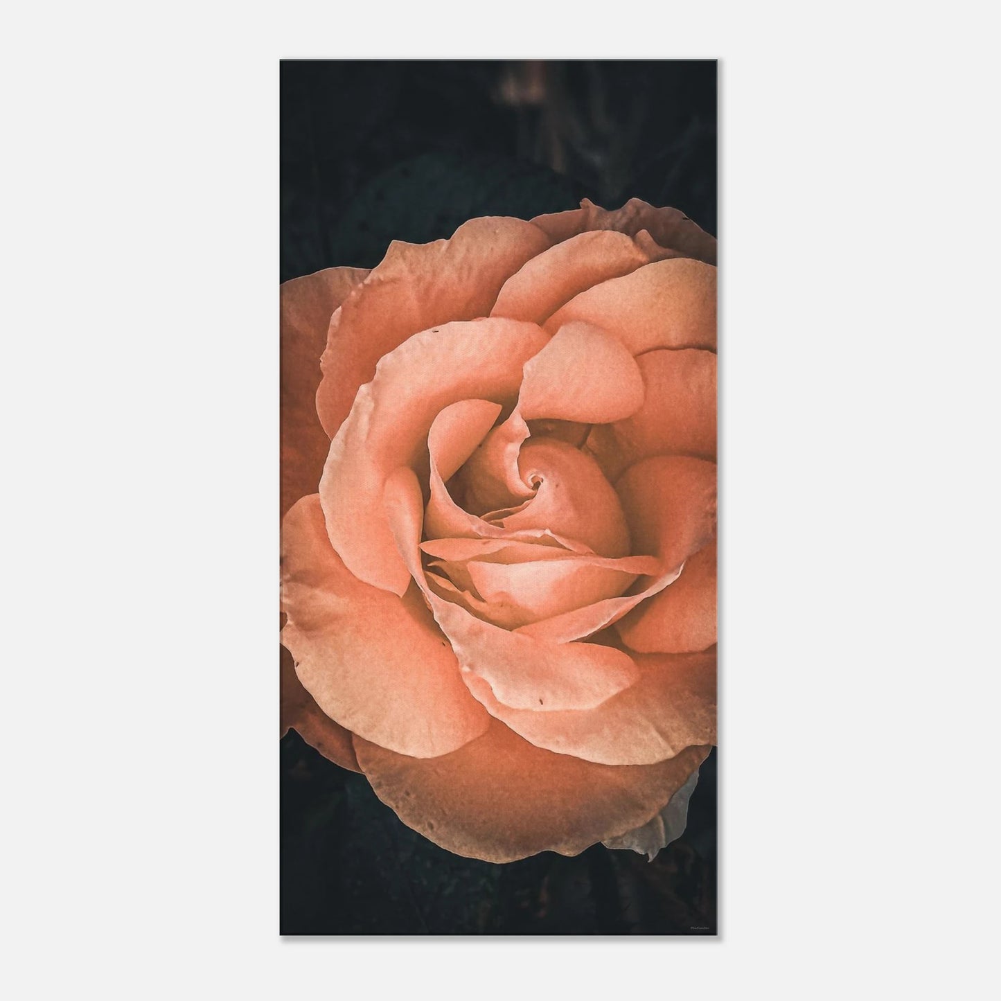 280328b1-ee01-4dde-aa29-108c31a85194