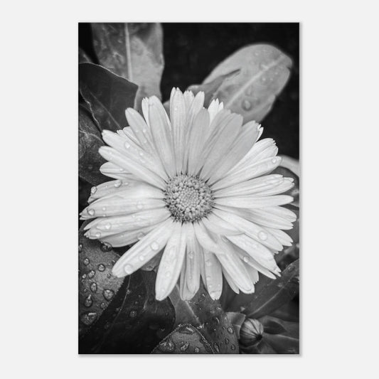 2803c9e9-6083-4f87-94ec-a7e2e90d4c78