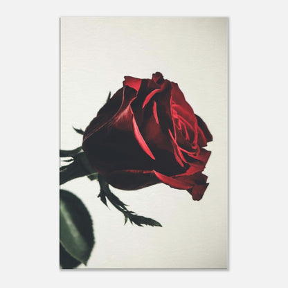 283d07d4-df46-4b74-bc3b-7e99b5c569f1