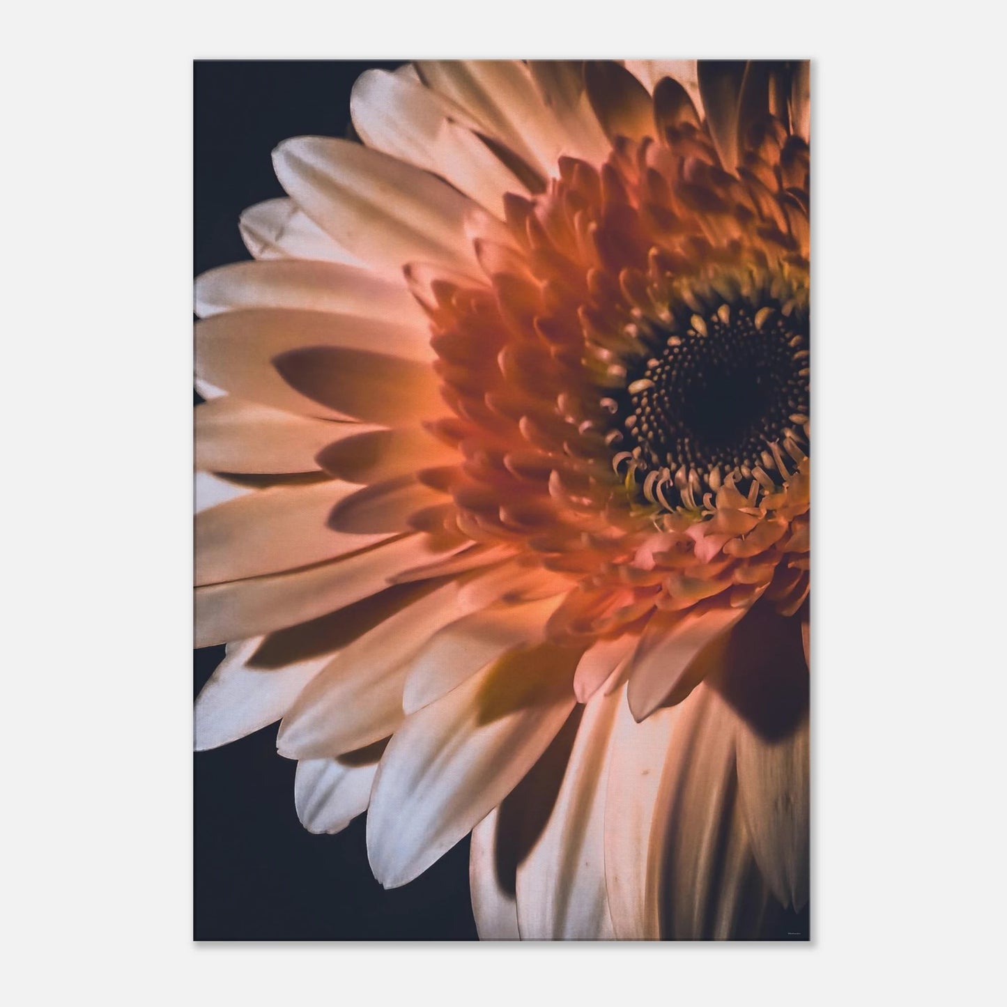 283e3c84-54ac-498a-99c6-9b72774458fa