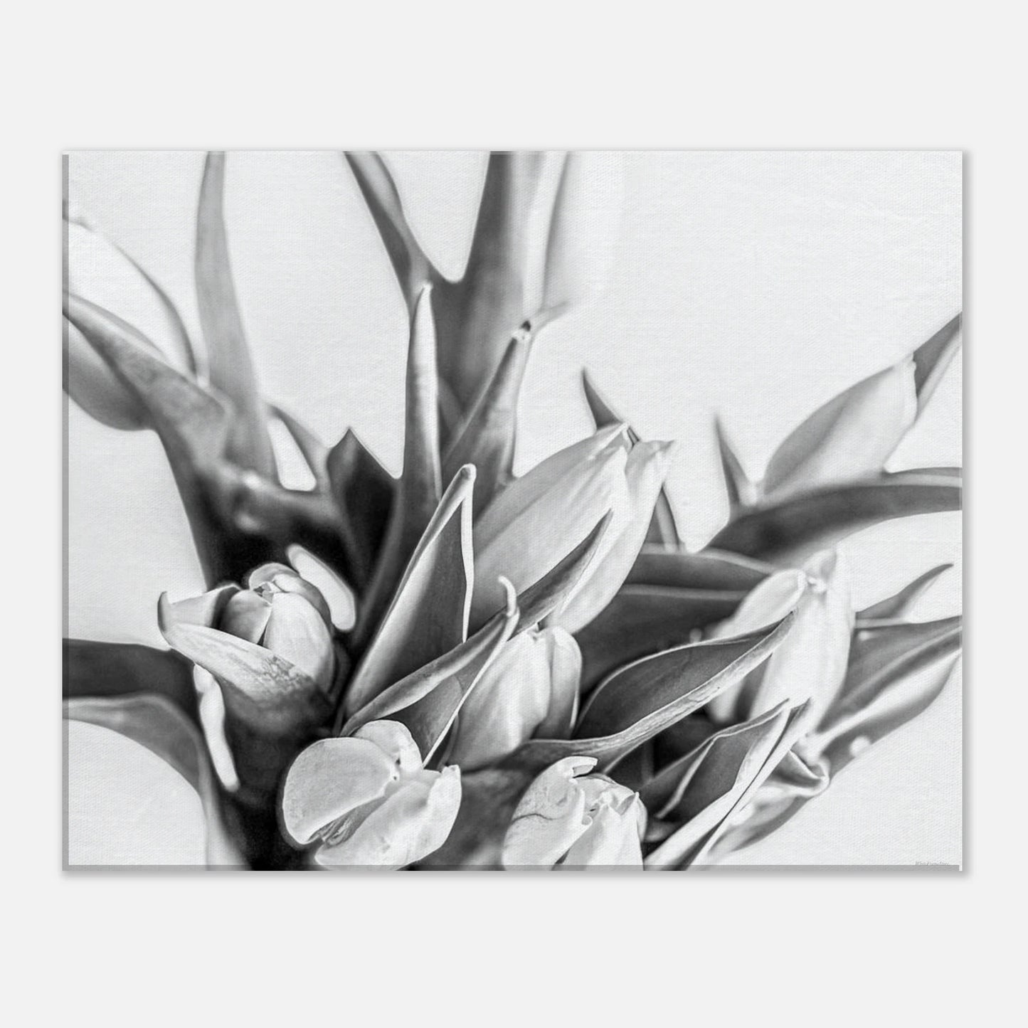 287e22f3-3907-4cb3-b9f8-f6d3f8f94a95