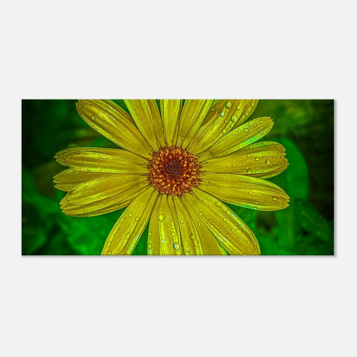 2880b2bf-b0c3-4c12-a7e4-553eea51f682