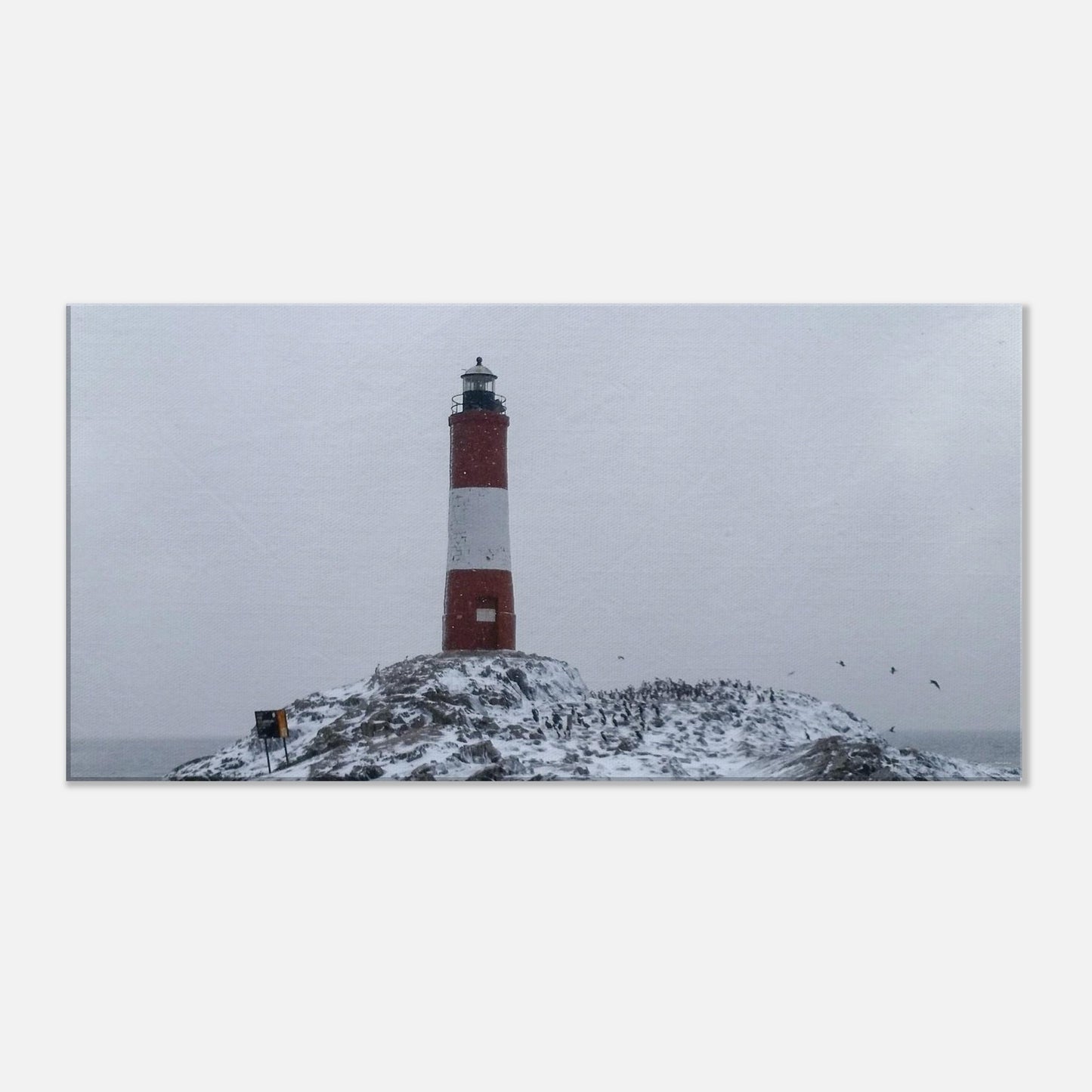 288a68e5-a396-46e0-8832-21657f7a1d83