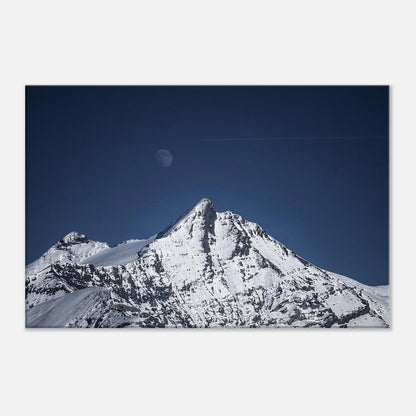 293f588f-3750-4f98-906b-a079f4ded506