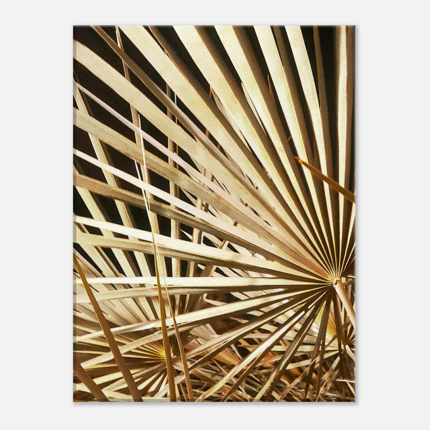 2972ff89-3d03-4d2b-bdfb-df69a98fad96