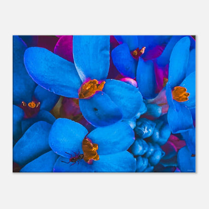 29737815-1aac-4688-a3c3-af334aec61ff