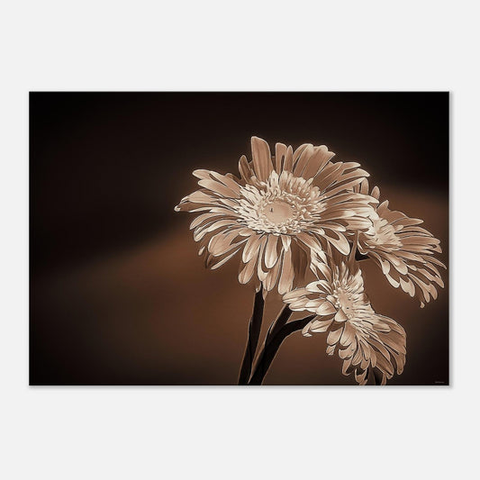 29811faa-33f5-458f-9e37-b06b90c9475e