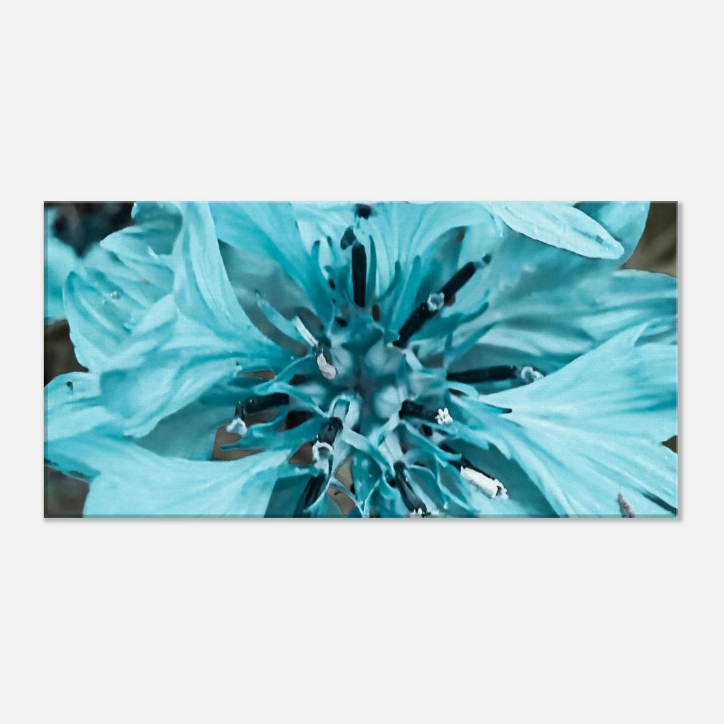 29c730d6-be89-4969-acb3-5ad2477284c1