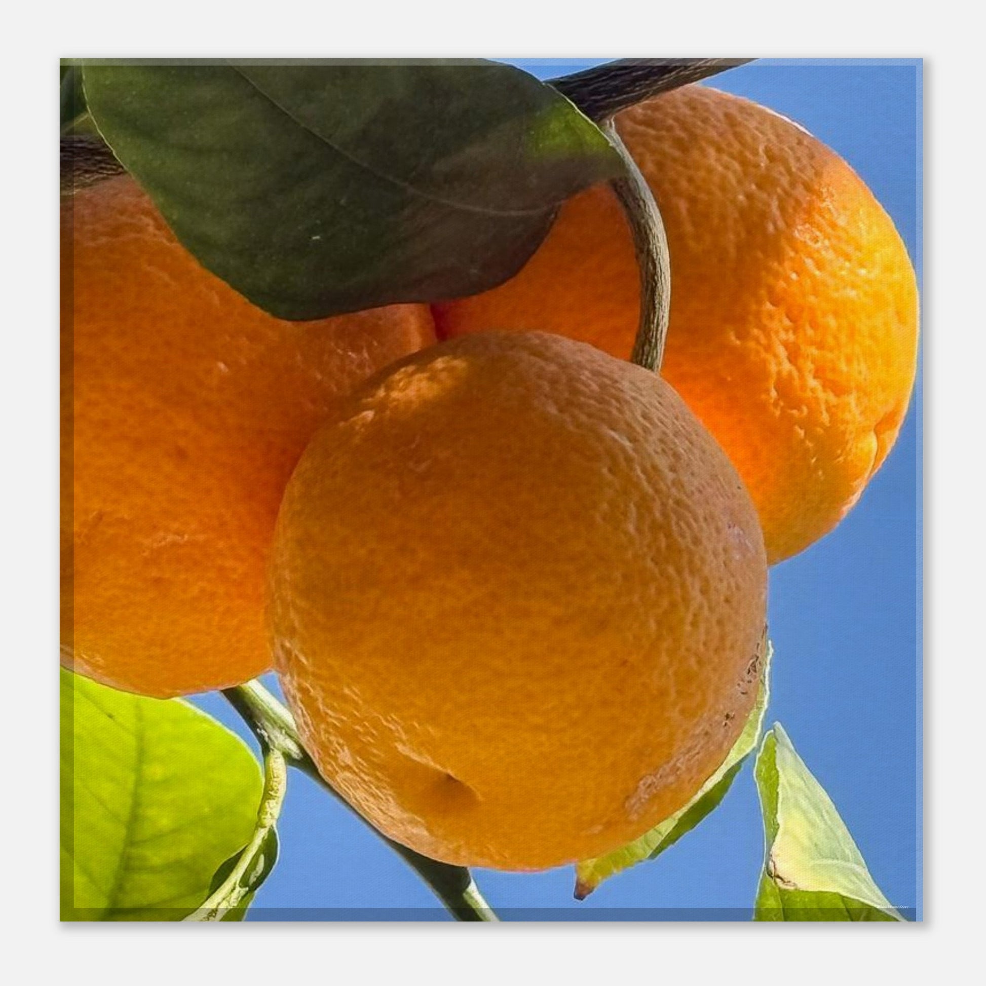 29d3f56e-ce49-4f74-9e74-4c640378e442