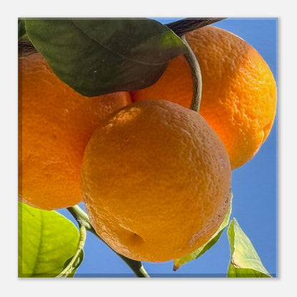 29d3f56e-ce49-4f74-9e74-4c640378e442