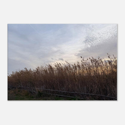 29daf0e2-d69e-4aa0-b309-2e94ff54b0f6