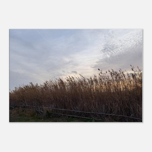 29daf0e2-d69e-4aa0-b309-2e94ff54b0f6