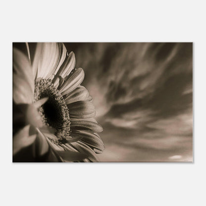 29e362f1-158e-4d94-9b89-6f60bb841df1