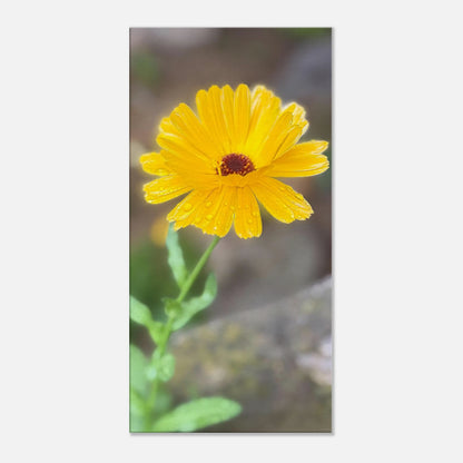 2a1d54ef-827d-4095-a767-633d0d64f9d4