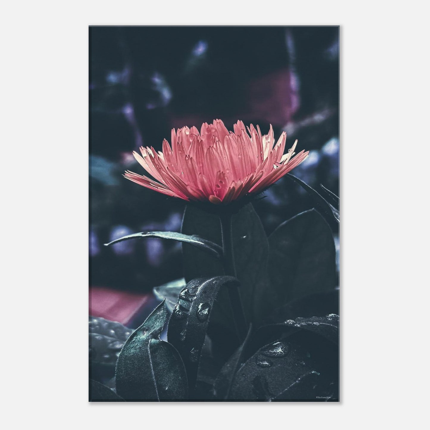 2a2e0de1-842c-45c9-aea7-e145b9a4eb2d