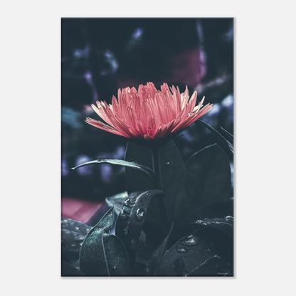 2a2e0de1-842c-45c9-aea7-e145b9a4eb2d