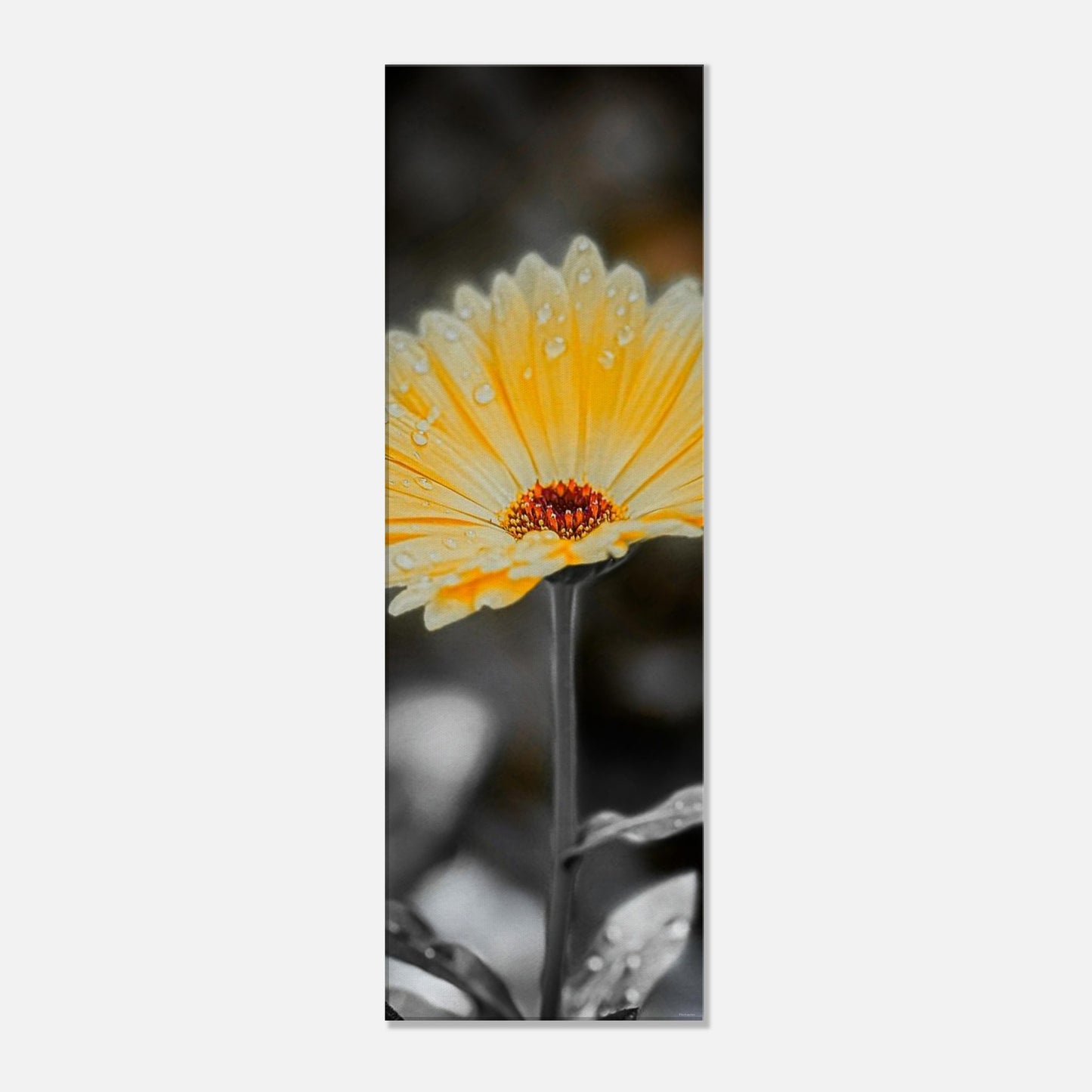 2a48f570-602c-451d-bea4-c7d04f62be06