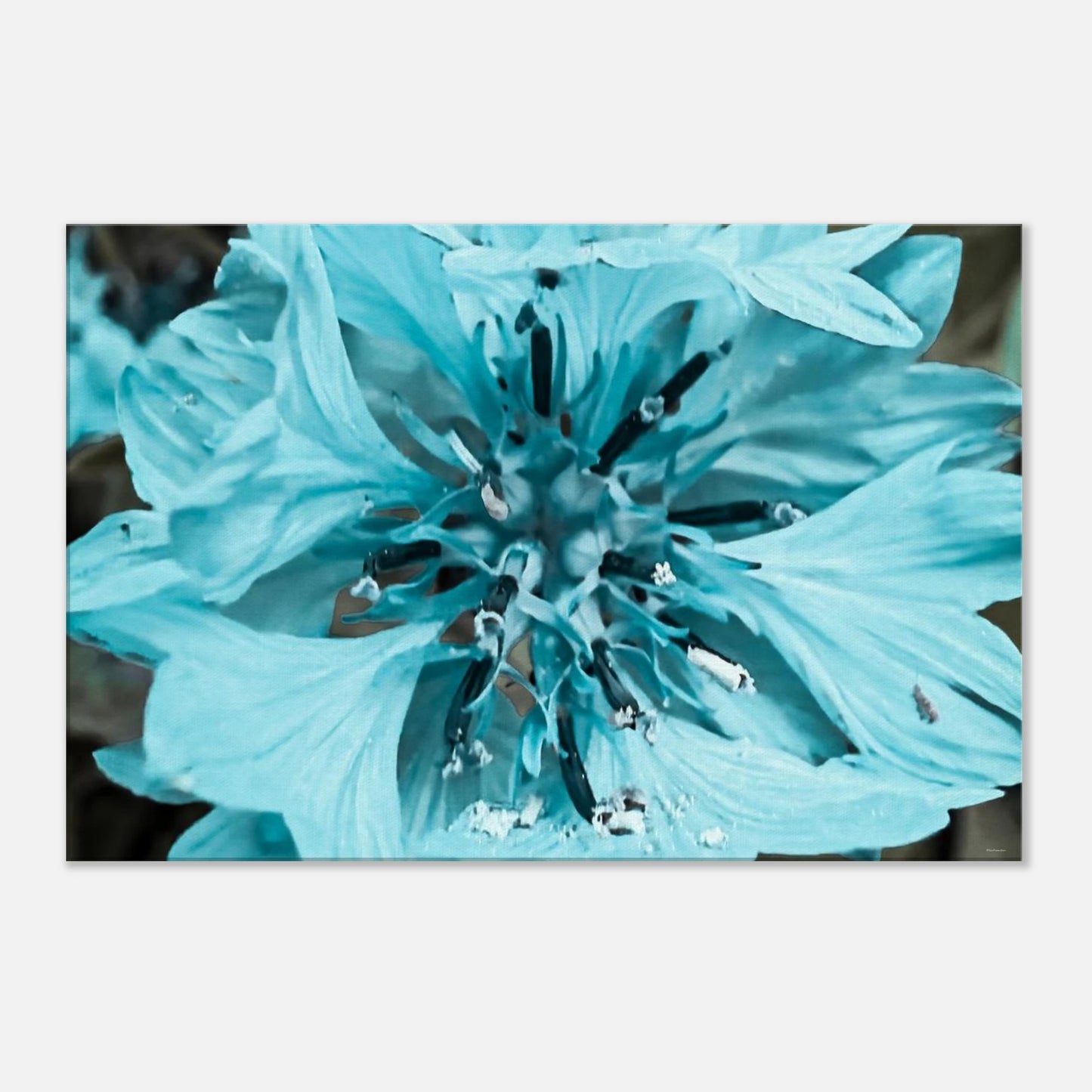 2a5237a4-f43d-468e-b3d4-00d283307092