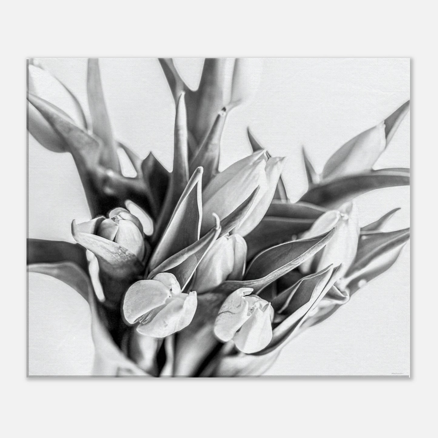 2a6e2dee-7802-4c47-b782-6bfd04ee08ca