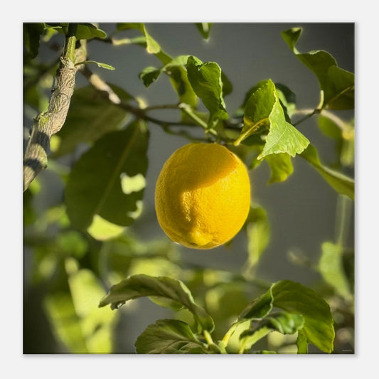 2a79456d-181a-4b17-a608-e824c6df025a