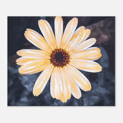 2a82e747-c98f-453b-9cbd-c4cb37385292