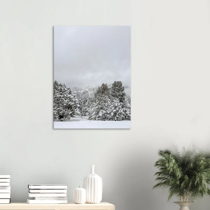 2a961b58-47f2-4c41-af10-150c557947d4