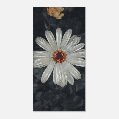 2aa6785f-3a10-4e12-9b50-78049e792478