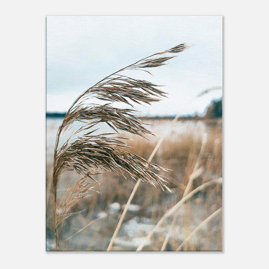 2ab01387-a4c6-4095-bb30-635f79ac236d