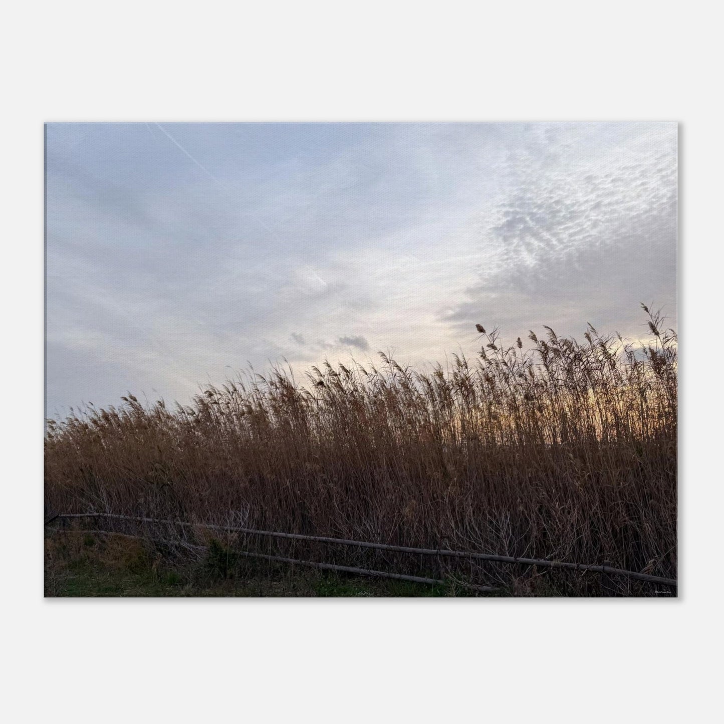 2aee4c74-881b-47f9-973a-da5cbf5acabb