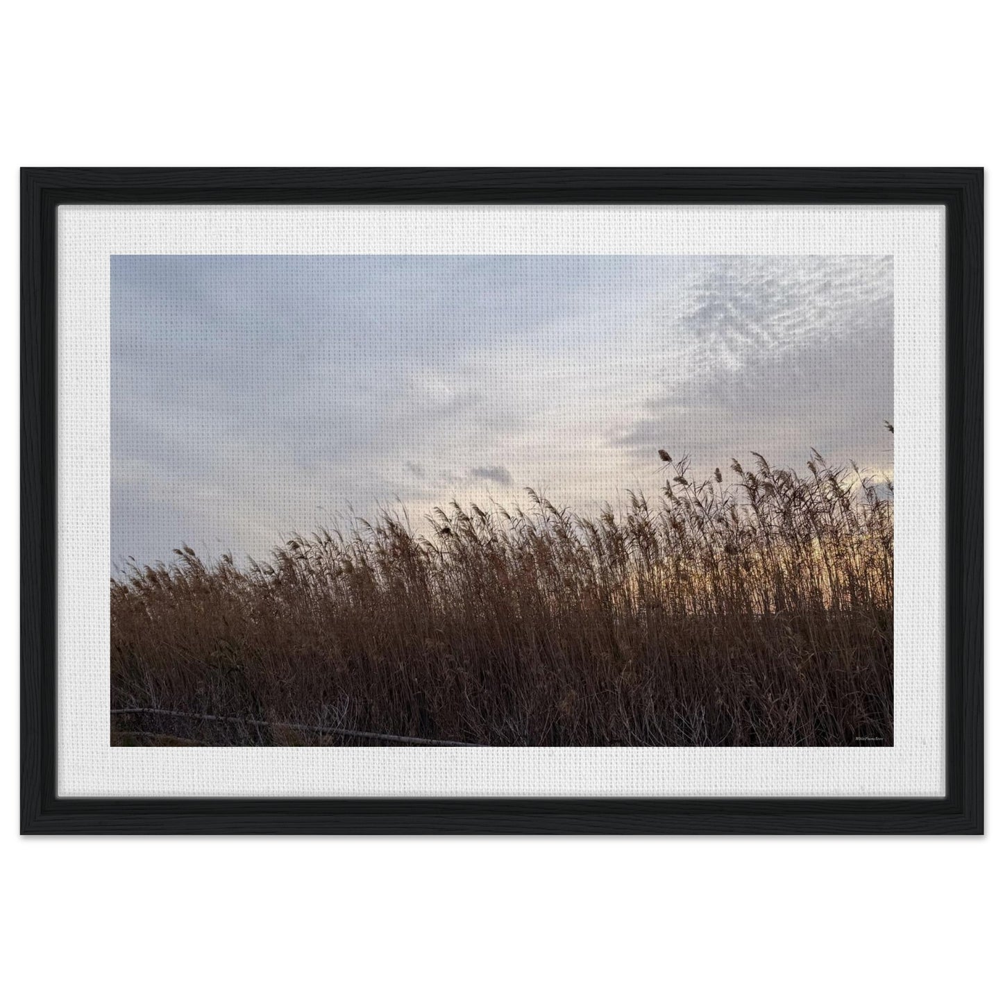 2b2fad6b-2085-4d52-96bb-7449045fa3f6