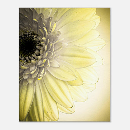 2b45c226-38bf-4d5f-8048-fc40cec48079