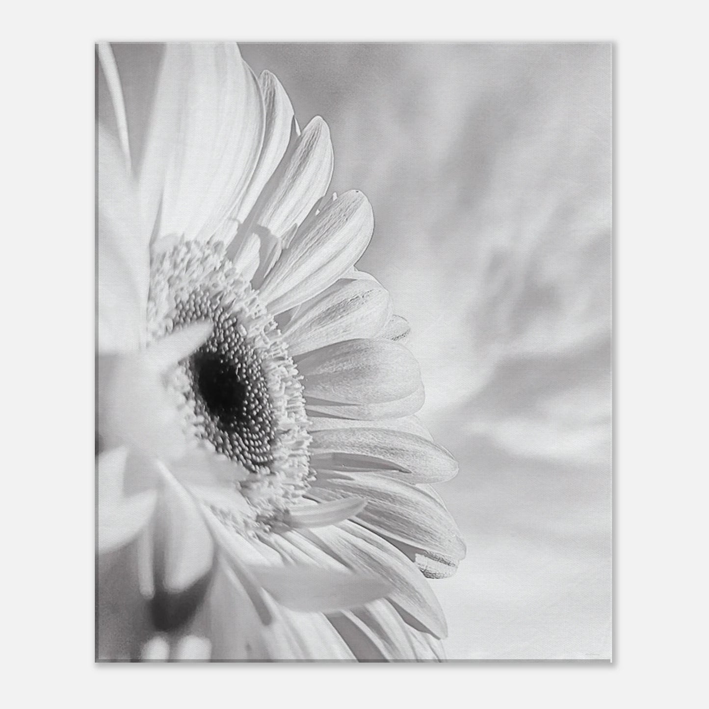 2b70443e-0b23-4807-a579-36495a4bfb36