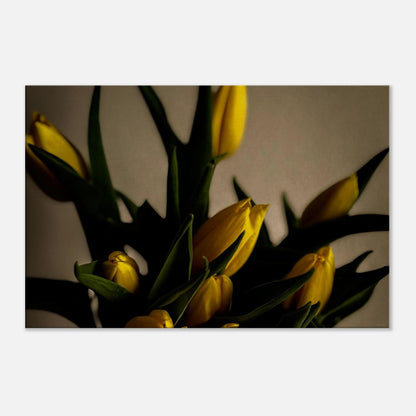 2b74f41a-d378-484e-89d3-ad1727bbeb24
