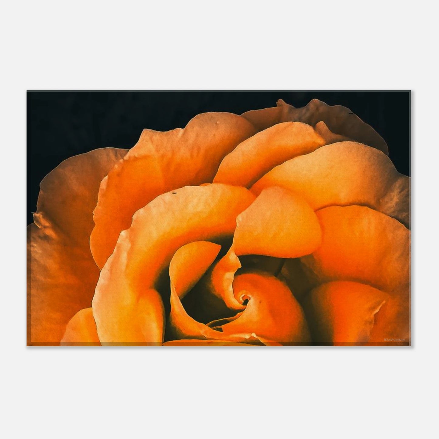 2b8ccea6-6d22-4c9a-808f-e2edfbc5bb77