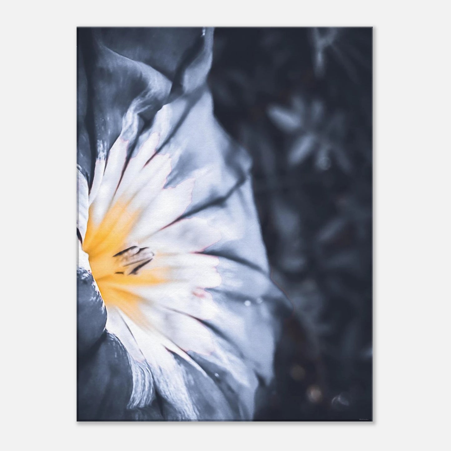 2ba7bdfa-7988-4941-8901-53dfc2e5a69e