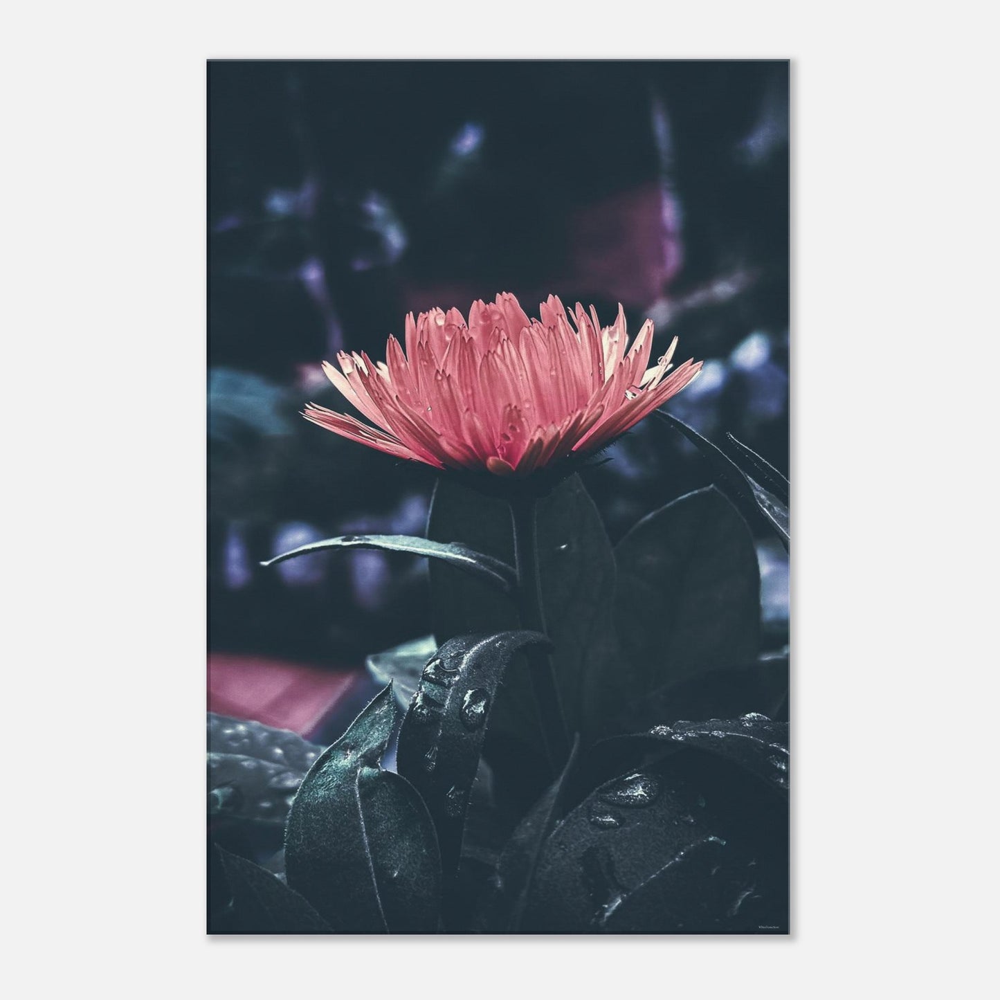 2bd4a537-626c-4f62-92d0-428a914d0e78