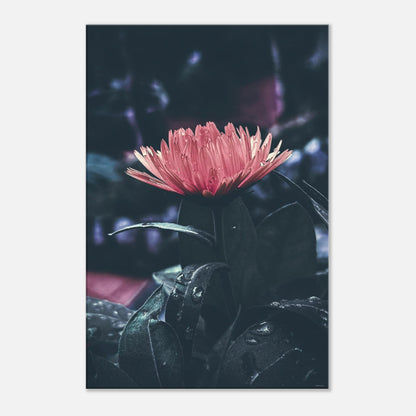 2bd4a537-626c-4f62-92d0-428a914d0e78