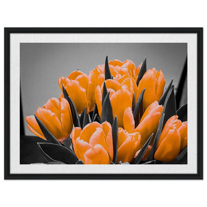 2bf0c650-8ae8-4b93-9e85-1e91c6444171