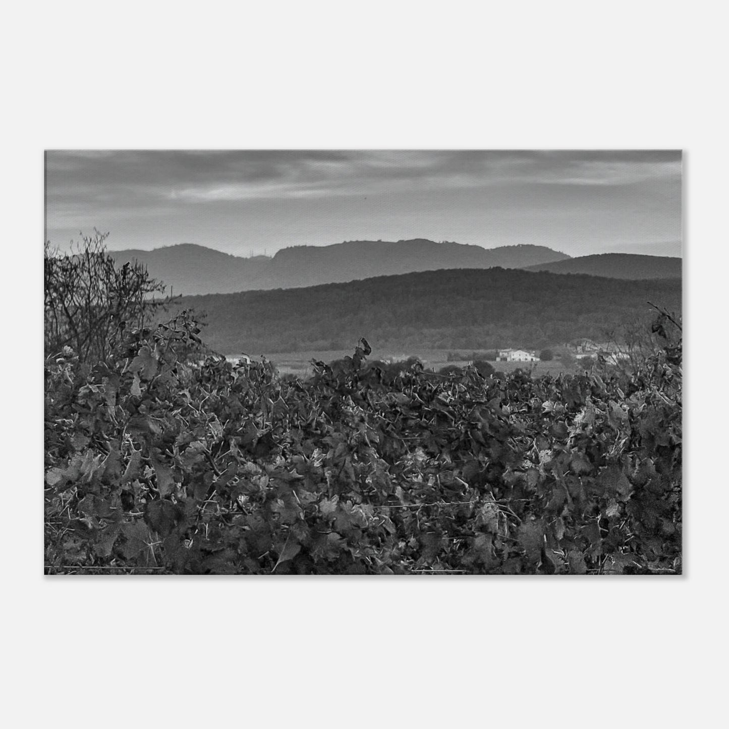 2bf0f1af-78e8-4585-bc48-a8c59ace9adf