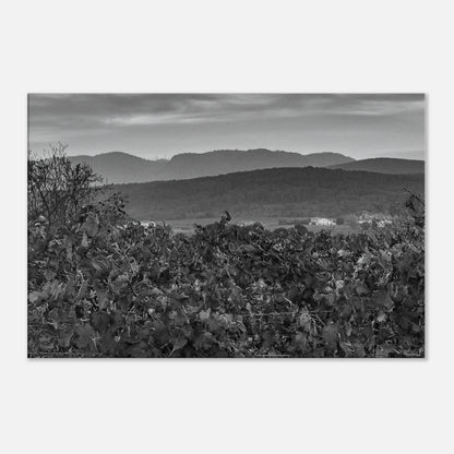 2bf0f1af-78e8-4585-bc48-a8c59ace9adf