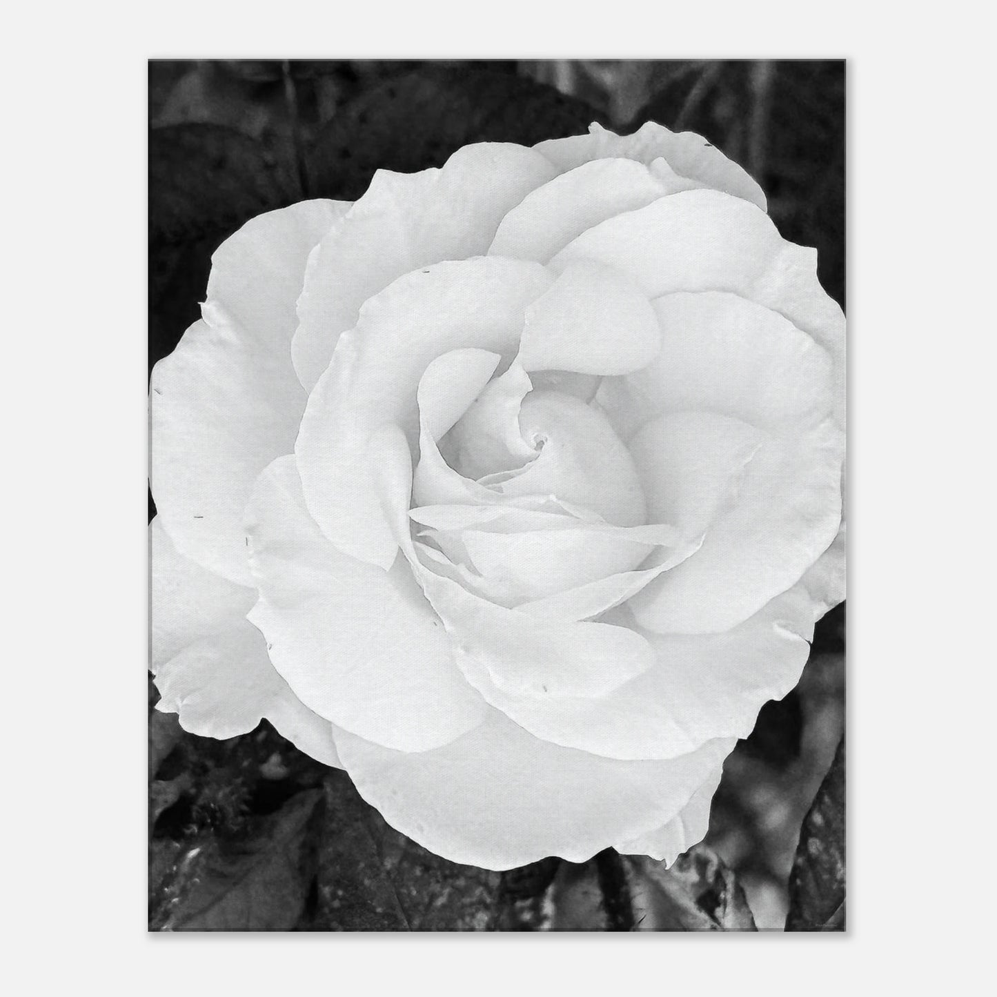 2c027a15-1db9-45af-b9c1-40bb8ae9b5ad