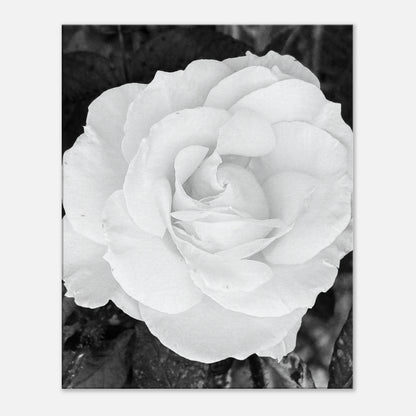 2c027a15-1db9-45af-b9c1-40bb8ae9b5ad