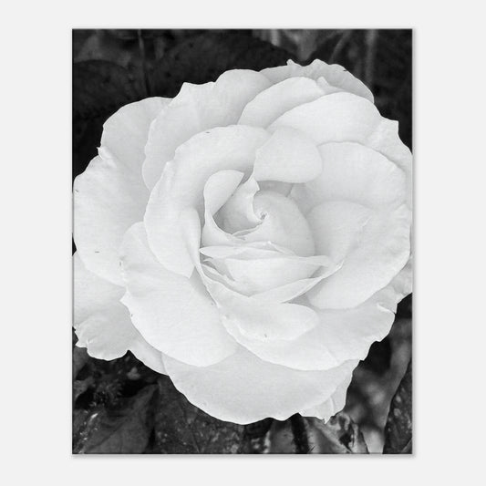 2c027a15-1db9-45af-b9c1-40bb8ae9b5ad