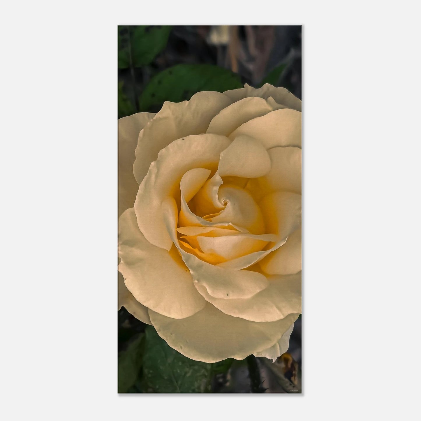 2c0b1a43-615a-417a-8805-14b5fbc9b65c